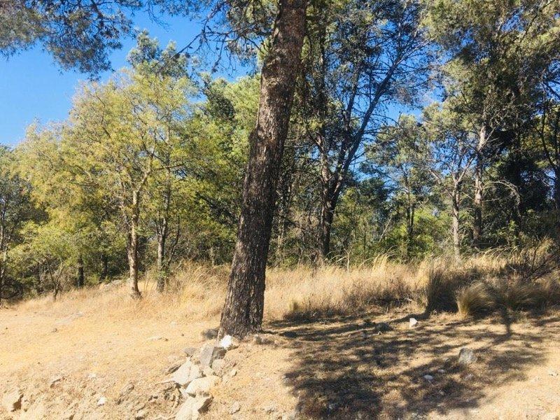 Venta de Hectárea Punto Comercial - Tlc0441 3