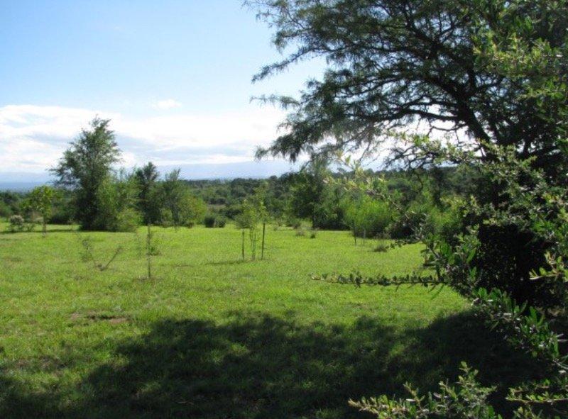 VENTA DE EXCELENTE LOTE EN VILLA GENERAL BELGRANO - TLC0432
