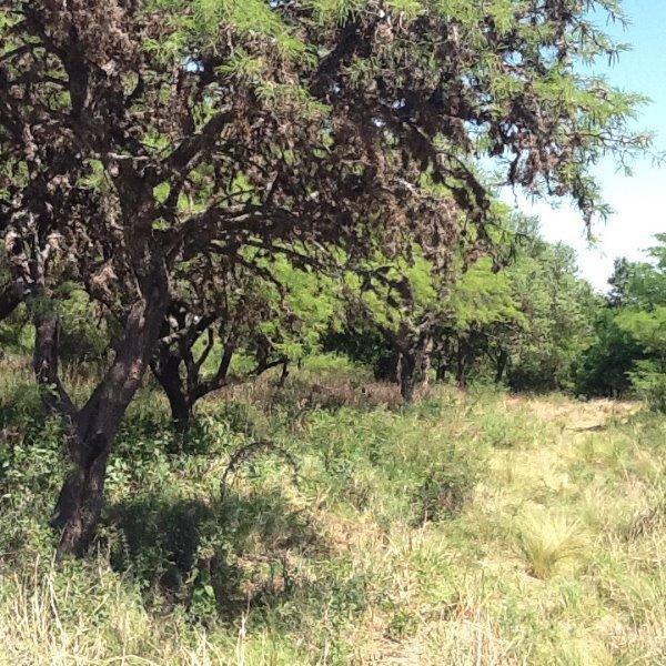 VENTA DE LOTE EN VILLA GENERAL BELGRANO - TLC0041