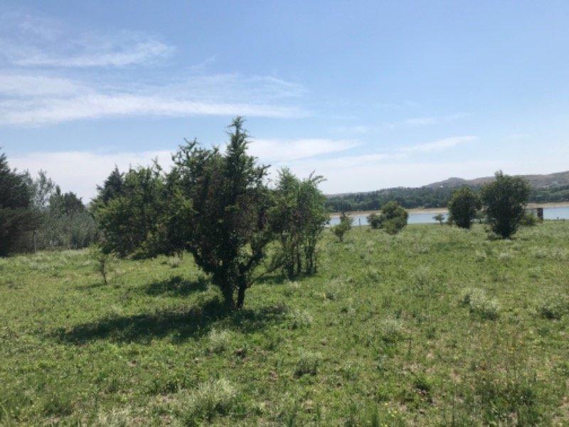 Venta de Lote con Costa del Lago Los Molinos - Tlc0526 3