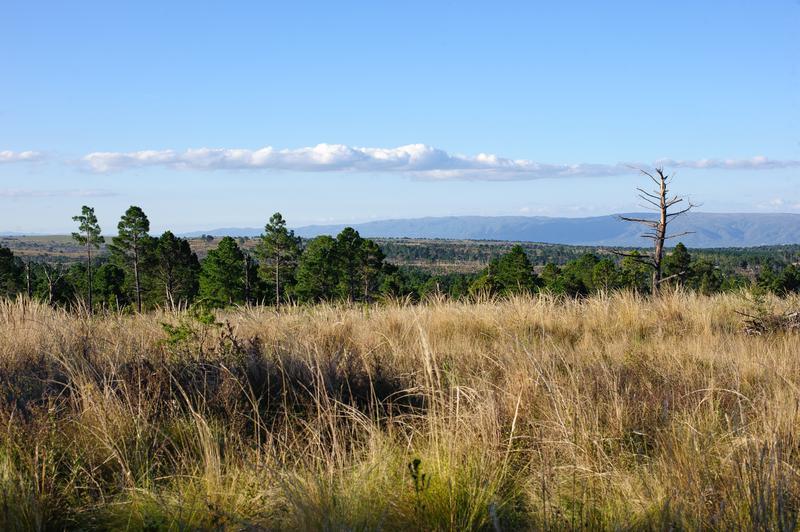 Venta de 2 Ha y Media en Yacanto de Calamuchita 3