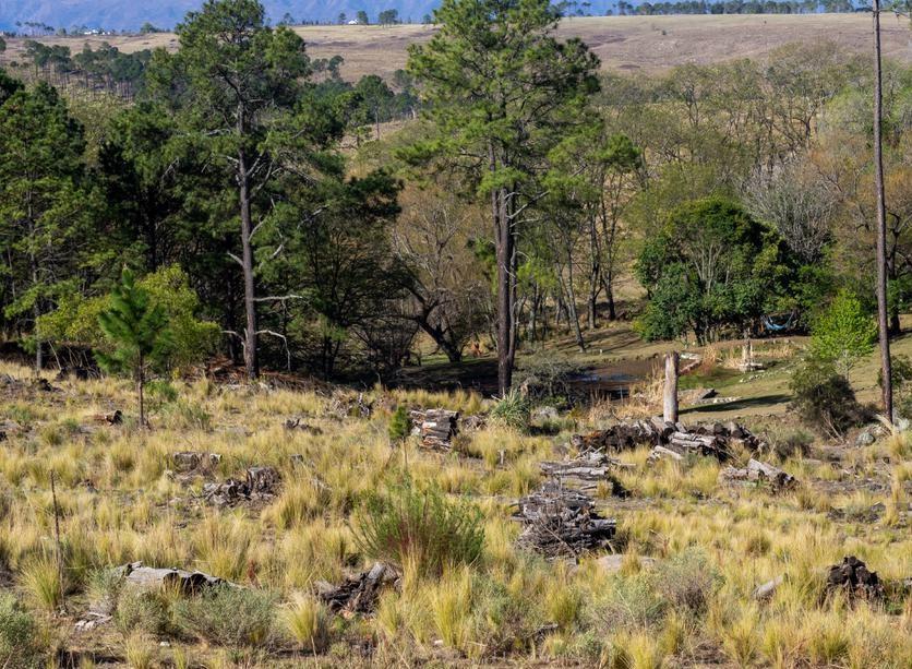 Venta de 2 Ha y Media en Yacanto de Calamuchita 2