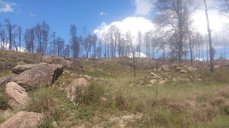 Venta de 2 Hectáreas y Media - Yacanto de Calamuchita - Tlc0459 2