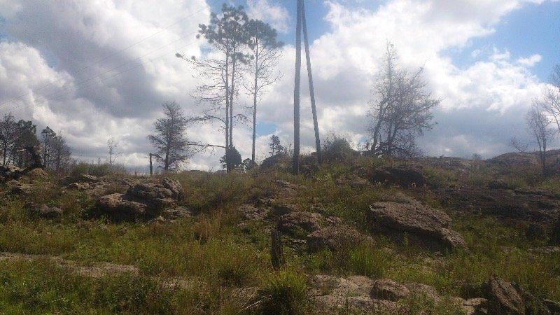 Venta de 2 Hectáreas y Media - Yacanto de Calamuchita - Tlc0459 5
