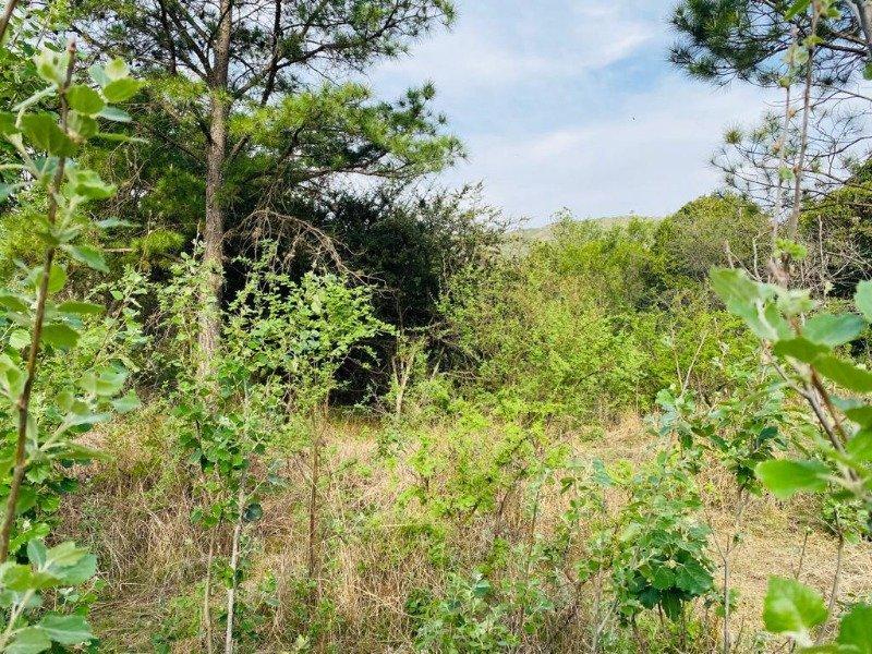 Venta de 4 Ha 7000 m² en Villa Ciudad Parque, Sobre Ruta N5 - Tlc0644 2