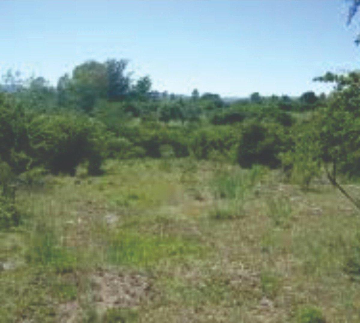 VENTA DE LOTE EN LOS REARTES - TLC0661