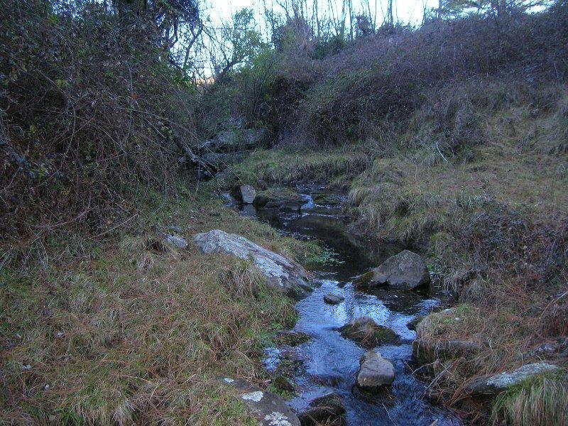 Venta de Fraccion de 4 Lotes - Tlc0053 5