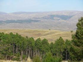 Venta de Fraccion de 4 Lotes - Tlc0053 1