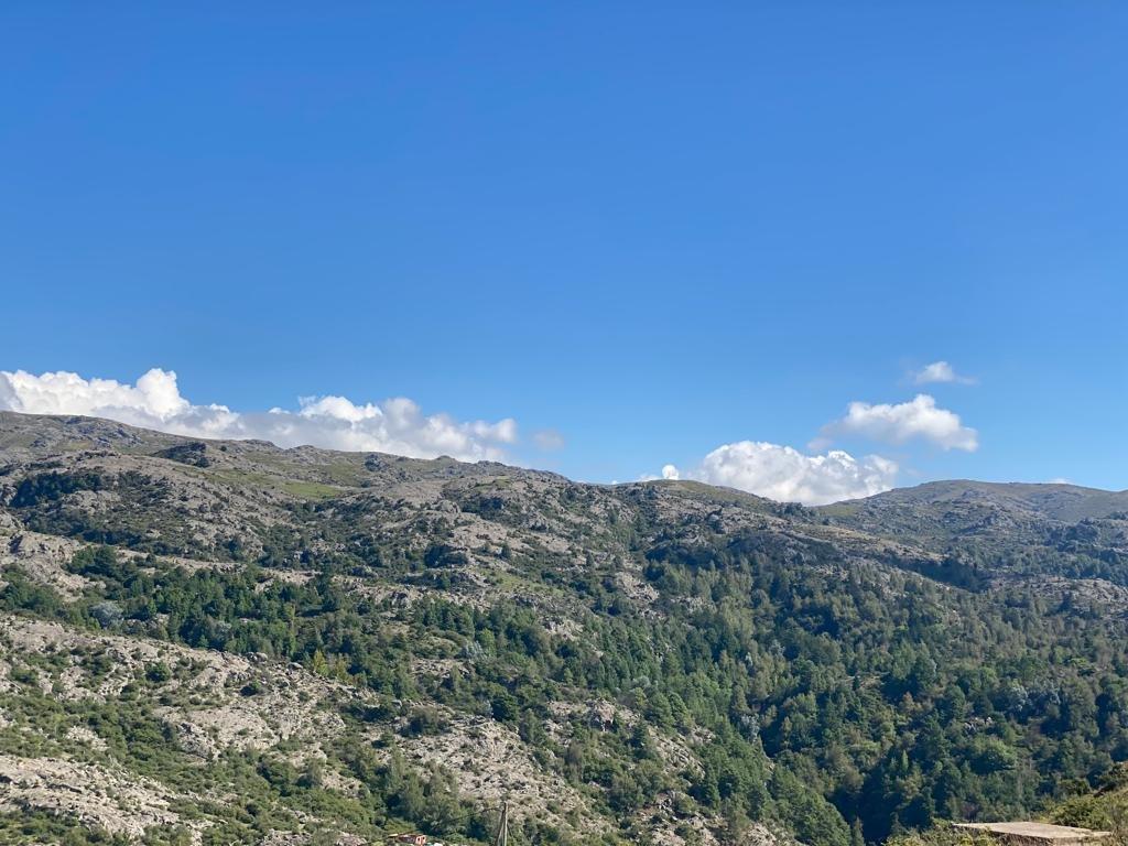 Venta 4 Ha 8673 m² en La Cumbrecita - Tlc0664 2