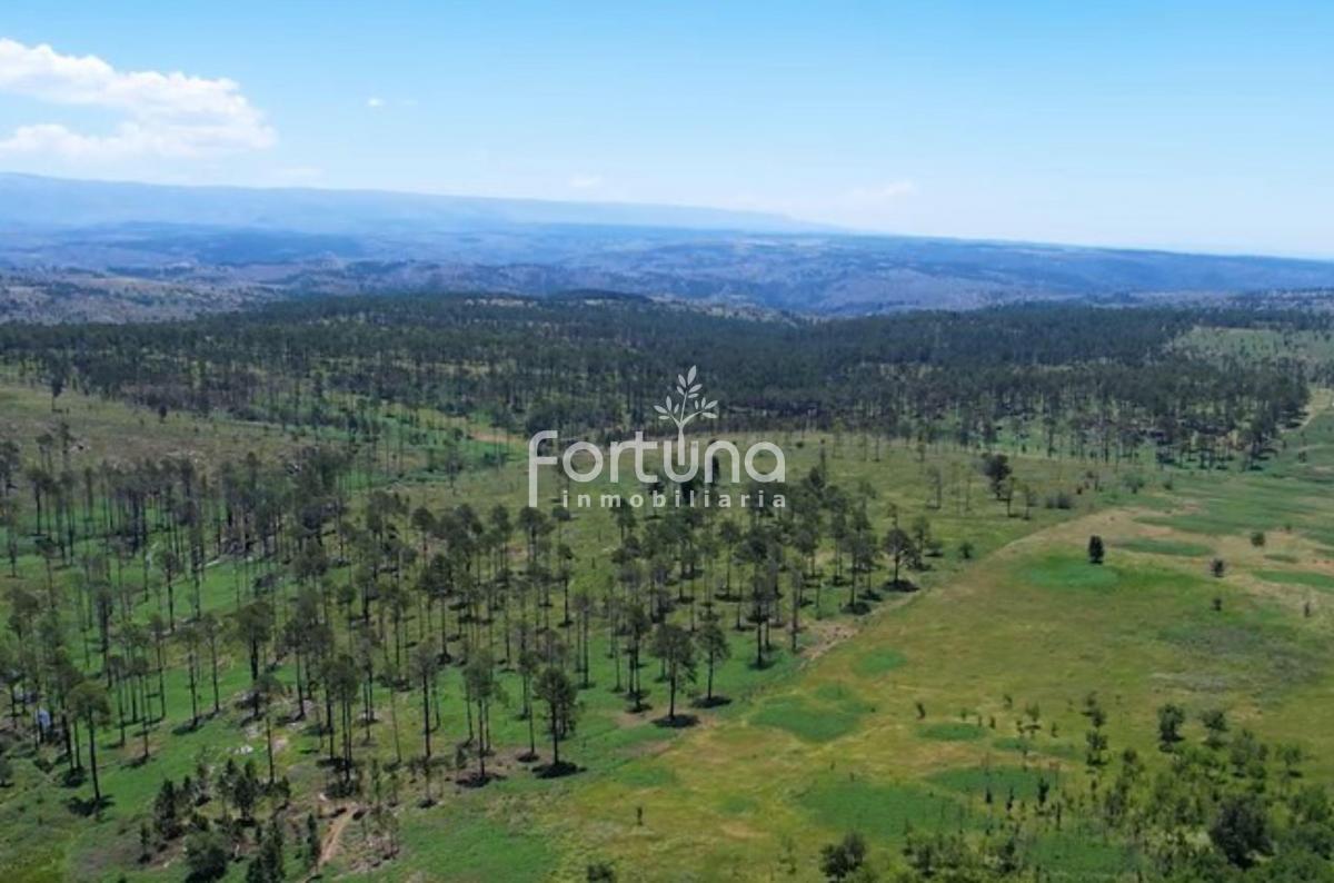 Venta de 22 Hectáreas en Yacanto de Calamuchita ¡Oportunidad! - Inv0055 5