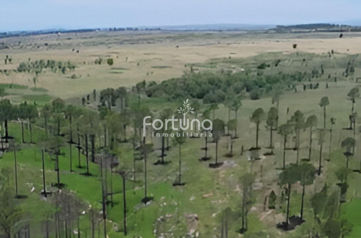 Venta de 22 Hectáreas en Yacanto de Calamuchita ¡Oportunidad! - Inv0055 1