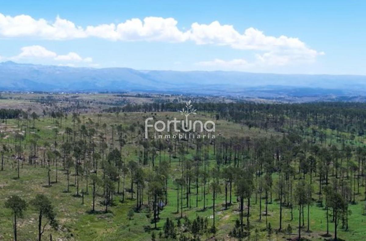 Venta de 22 Hectáreas en Yacanto de Calamuchita ¡Oportunidad! - Inv0055 4