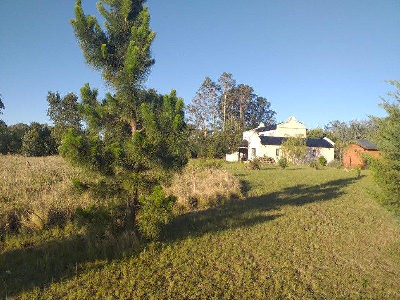 Venta de Campo con Dos Viviendas - Viv0213 4