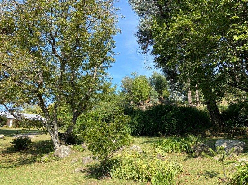 VENTA DE CAMPO Y CASCO DE ESTANCIA - INV0064