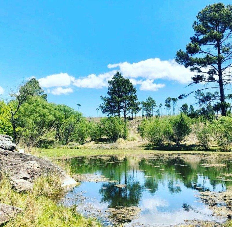 Venta de Hectarea en Yacanto de Calamuchita - Tlc0696 3