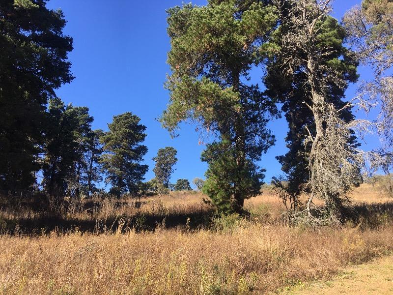 Venta de Lote en Potrero de Garay - Tlc0348 4