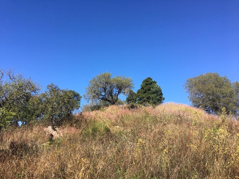 Venta de Lote en Potrero de Garay - Tlc0348 5