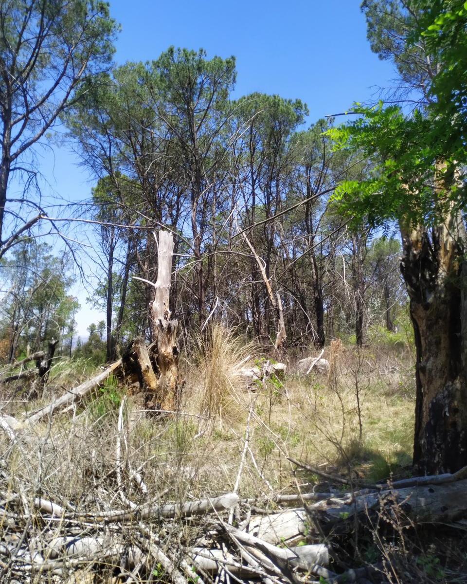 Venta de 3,7 Ha en Villa Yacanto - Tlc0707 1