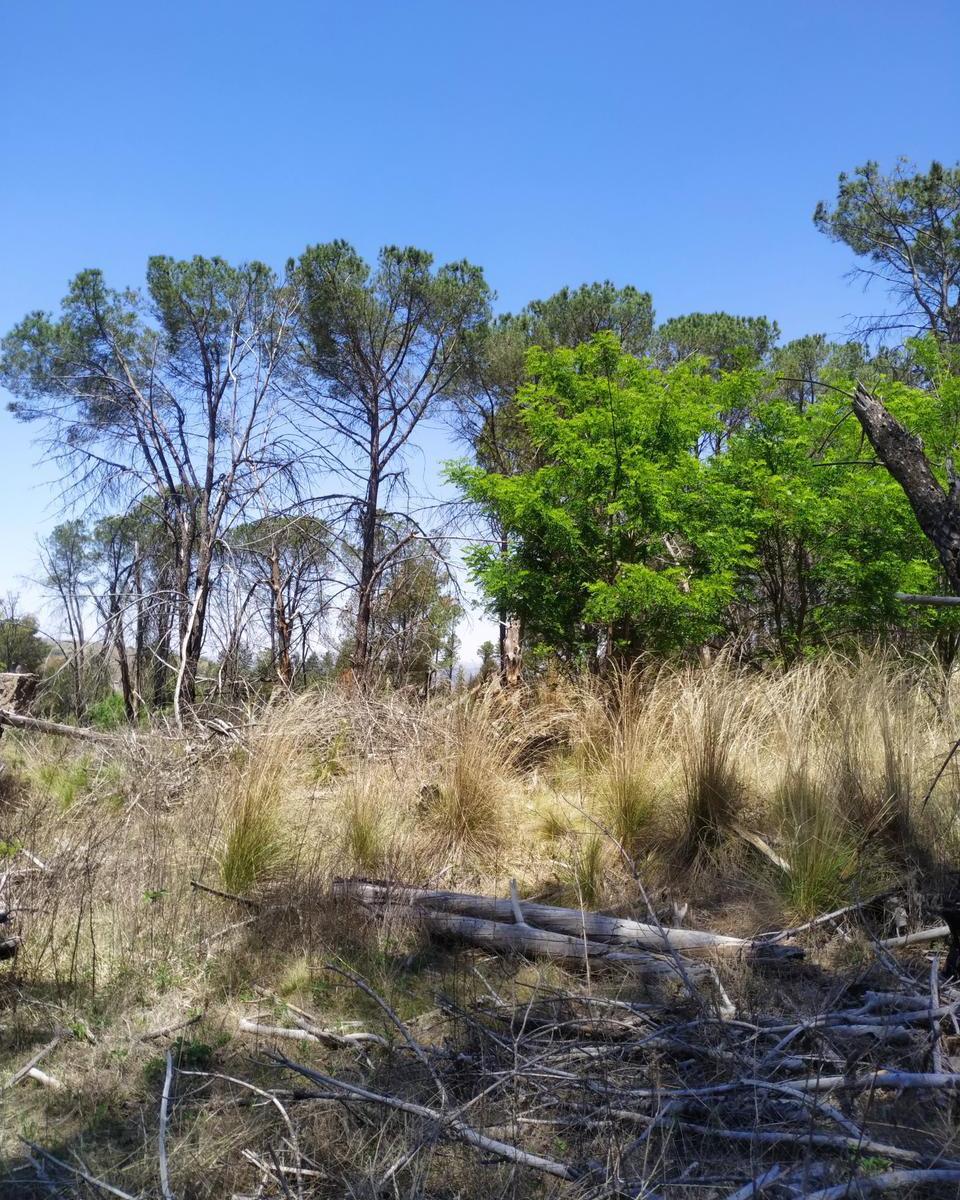 Venta de 3,7 Ha en Villa Yacanto - Tlc0707 4