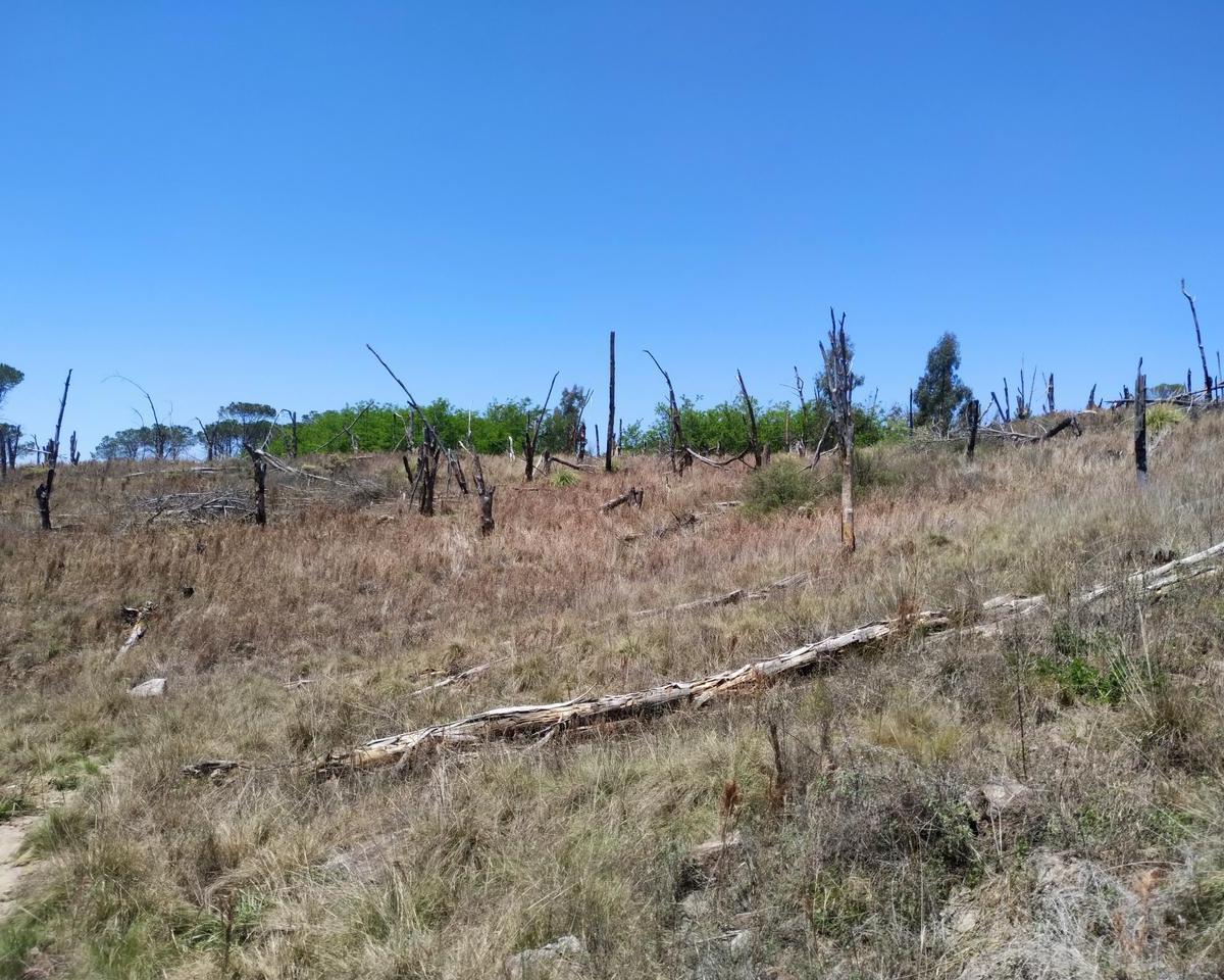Venta de 3,7 Ha en Villa Yacanto - Tlc0707 4