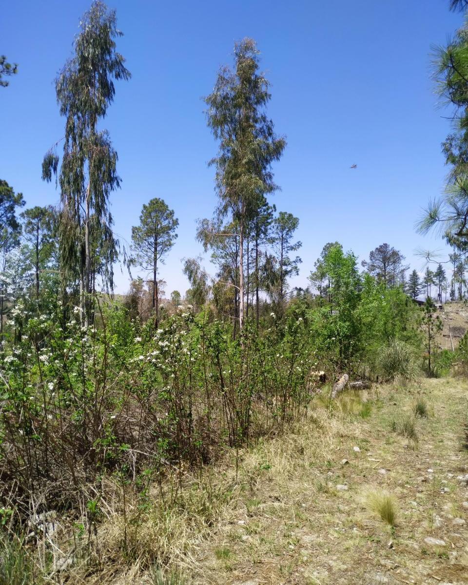 Venta de 3,7 Ha en Villa Yacanto - Tlc0707 5