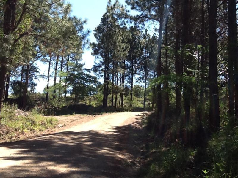 Venta de Campo de 22 Ha en Yacanto - Inv0012 3