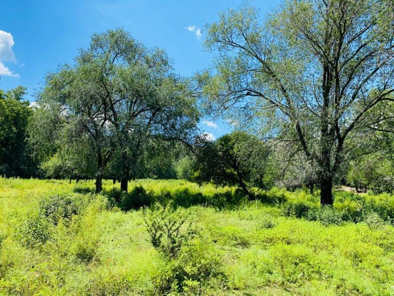 VENTA DE LOTE EN VILLA GENERAL BELGRANO - TLC0567