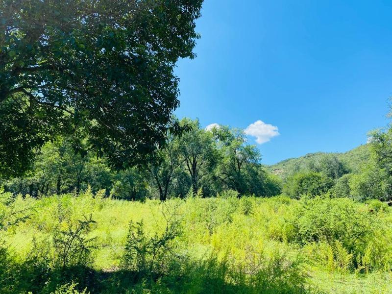 Foto de VENTA DE LOTE EN VILLA GENERAL BELGRANO - TLC0572, imagen 2
