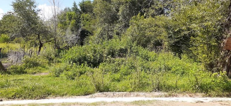 Venta de Lote en Los Reartes - Tlc0738 1