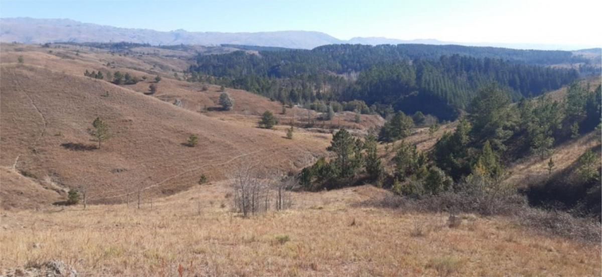 En Venta 2 Hectáreas 9762 m² en San Miguel de Los Rios - Tlc0743 5