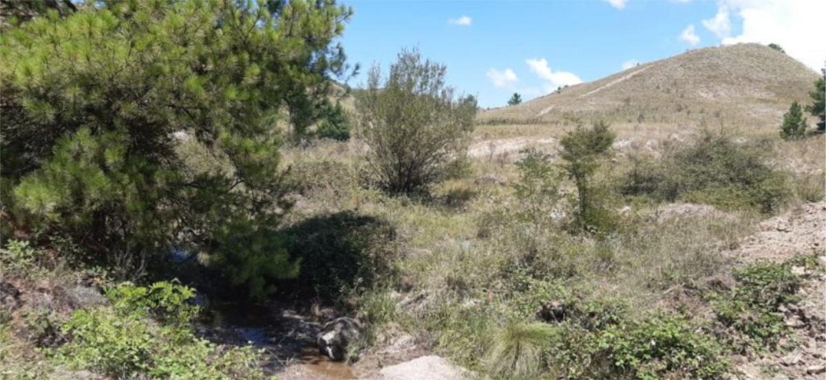 En Venta 2 Hectáreas 9762 m² en San Miguel de Los Rios - Tlc0743 1