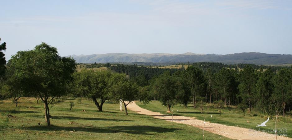 Venta de Lote en Villa del Condor Potrero de Garay - Tlc0750 3