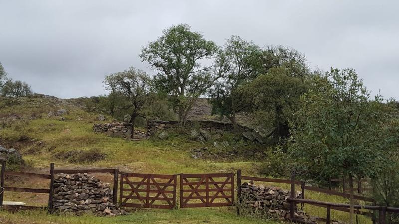 Venta de Vivienda de Campo con Costa de Río - Viv0272 3