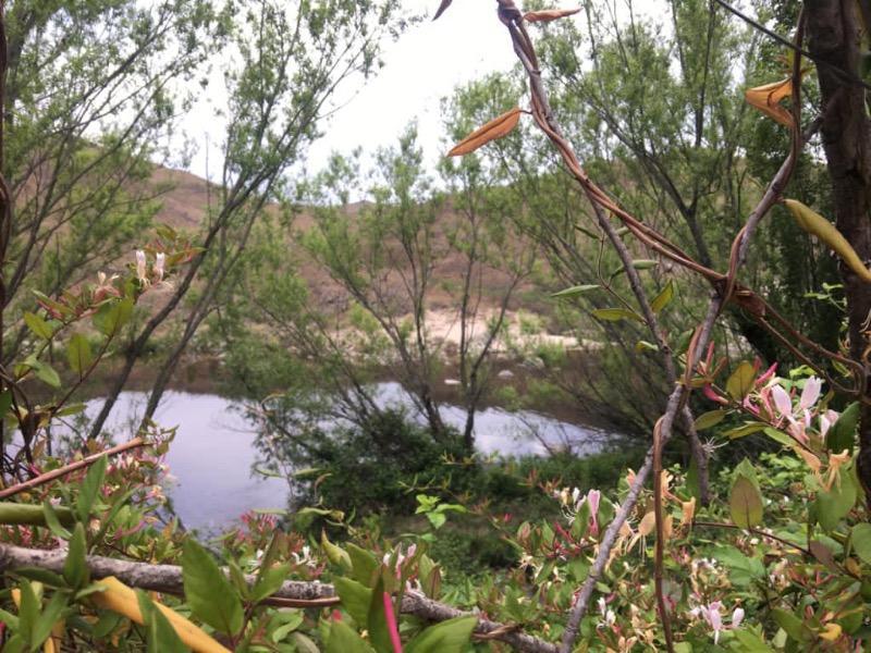 VENTA DE CAMPO DE 460 HECTÁREAS CON RÍO - INV0096