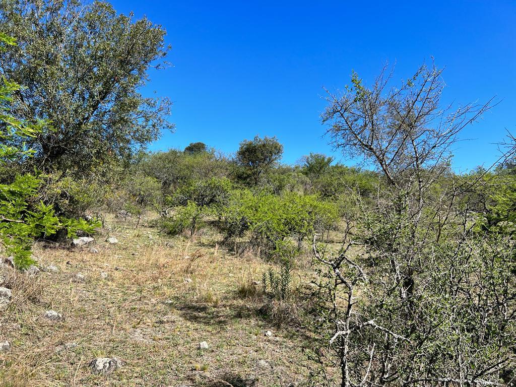 Venta de Lote Barrio Semi Cerrado Piedra Alpa - Inv0124 3