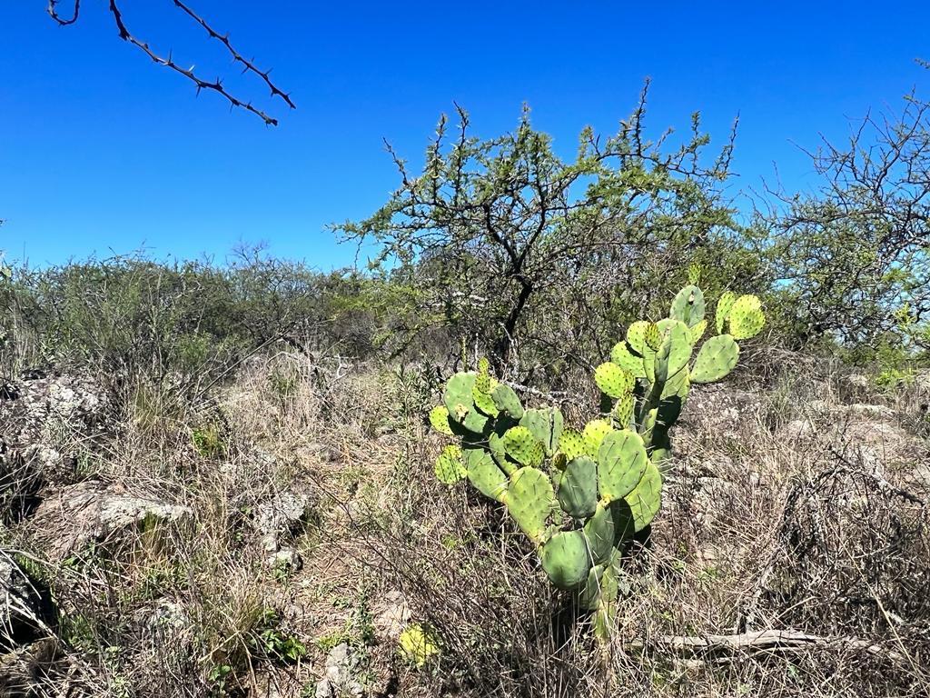Venta de Lote Barrio Semi Cerrado Piedra Alpa - Inv0124 2