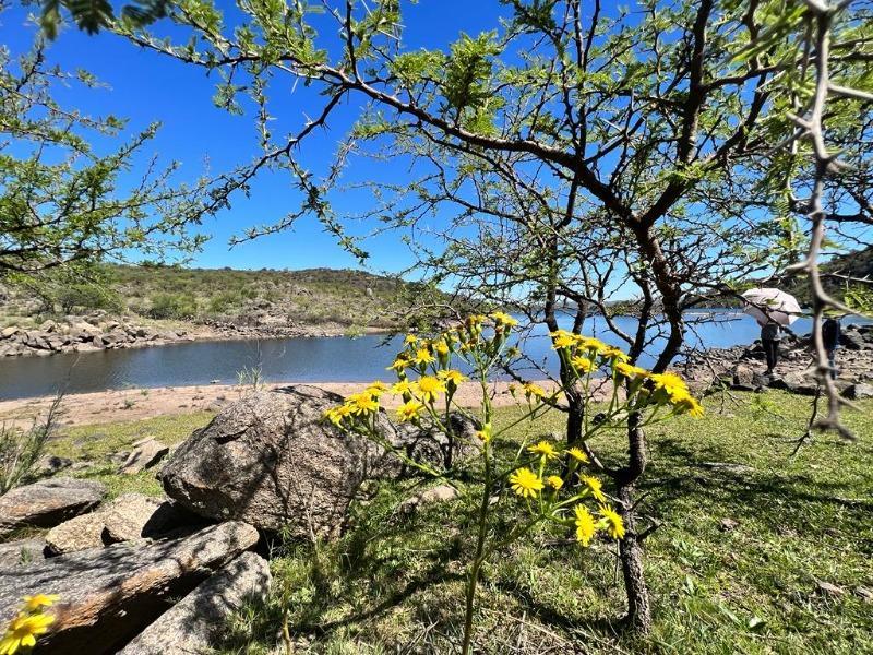 Venta de Lote Barrio Cacique Nawan - Inv0144 1