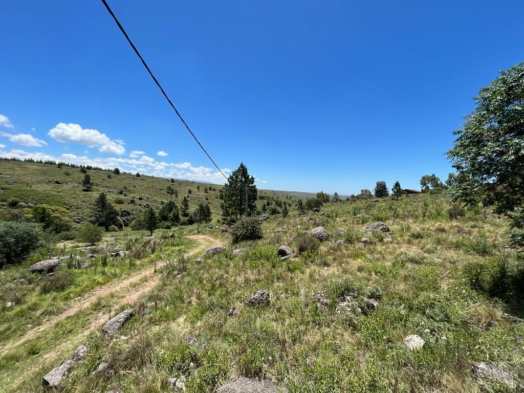 Foto de VENTA DE LOTE EN LOMA DEL TIGRE EN VILLA BERNA - TLC0787, imagen 3