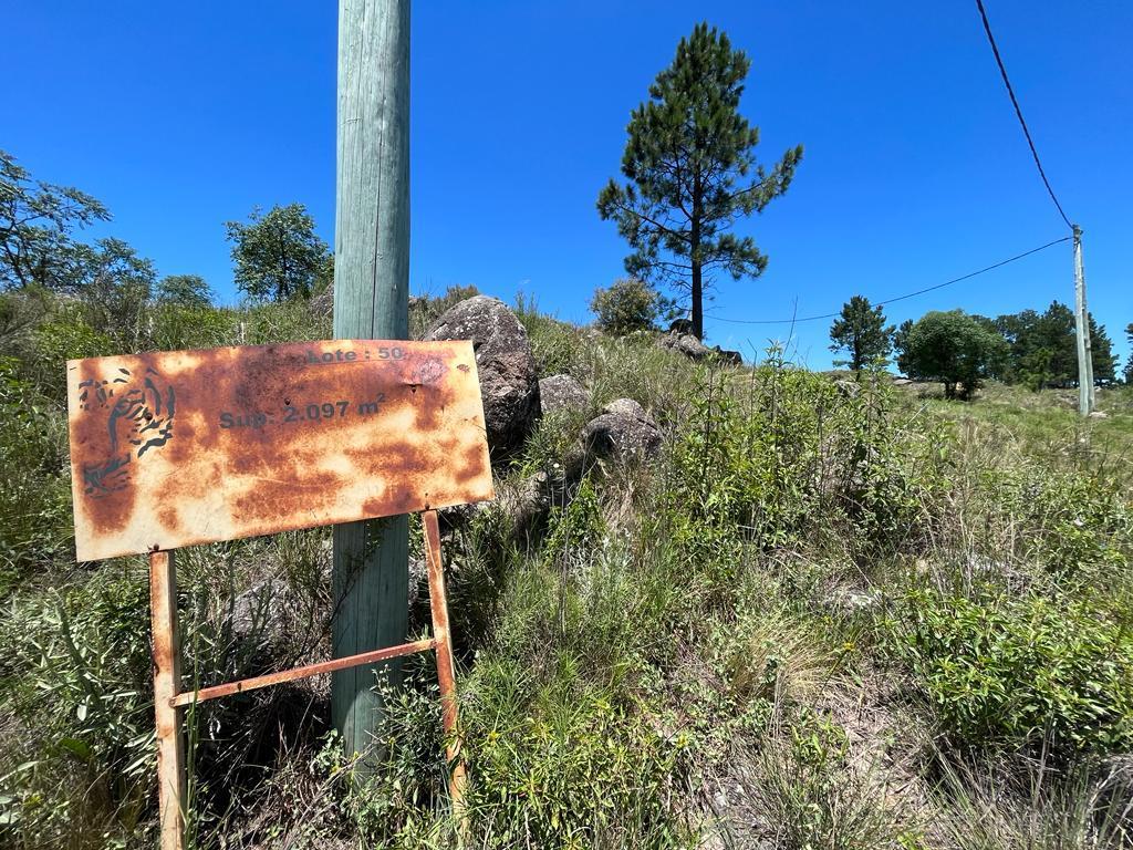 Foto de VENTA DE LOTE EN LOMA DEL TIGRE EN VILLA BERNA - TLC0787, imagen 4
