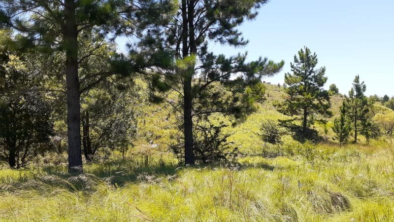 Foto de VENTA DE LOTE EN LOMA DEL TIGRE EN VILLA BERNA - TLC0782, imagen 5