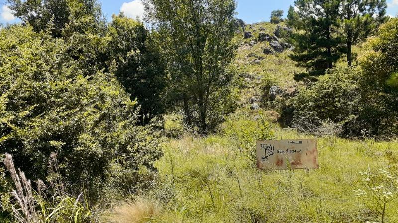 Foto de VENTA DE LOTE EN LOMA DEL TIGRE EN VILLA BERNA - TLC0782, imagen 2