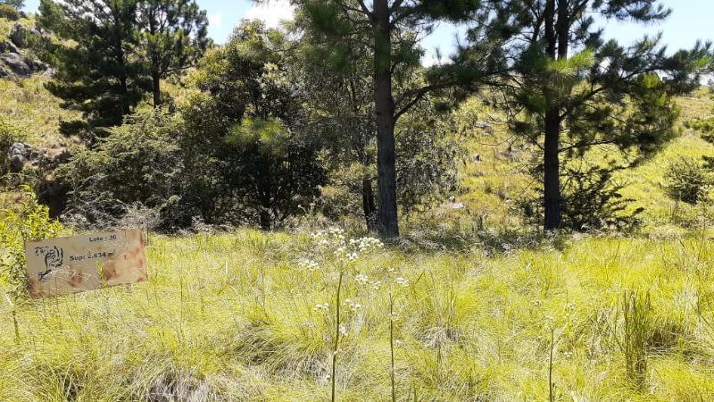 Foto de VENTA DE LOTE EN LOMA DEL TIGRE EN VILLA BERNA - TLC0782, imagen 4