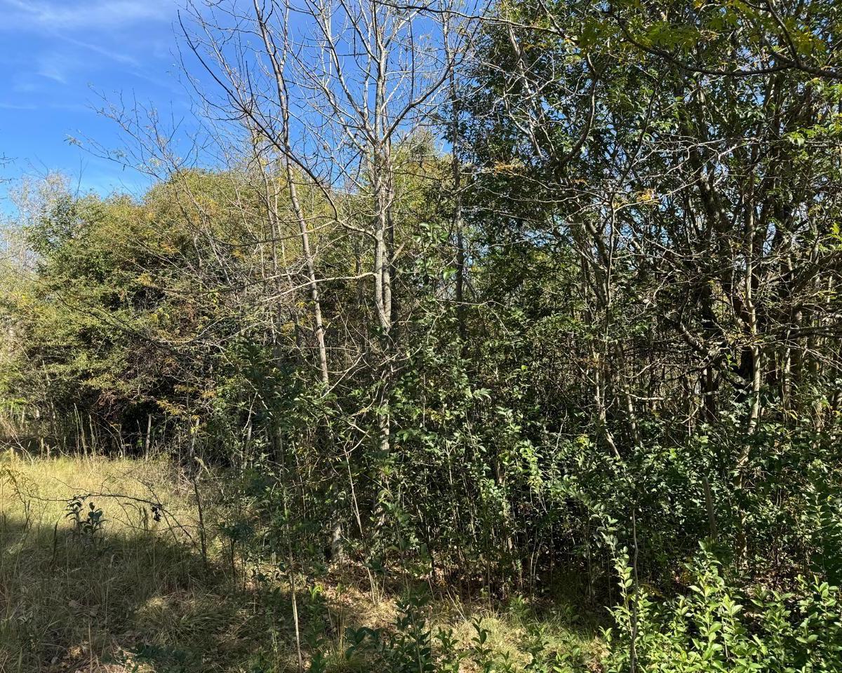 Venta de Lote en Villa Ciudad Parque - Tlc0860 1