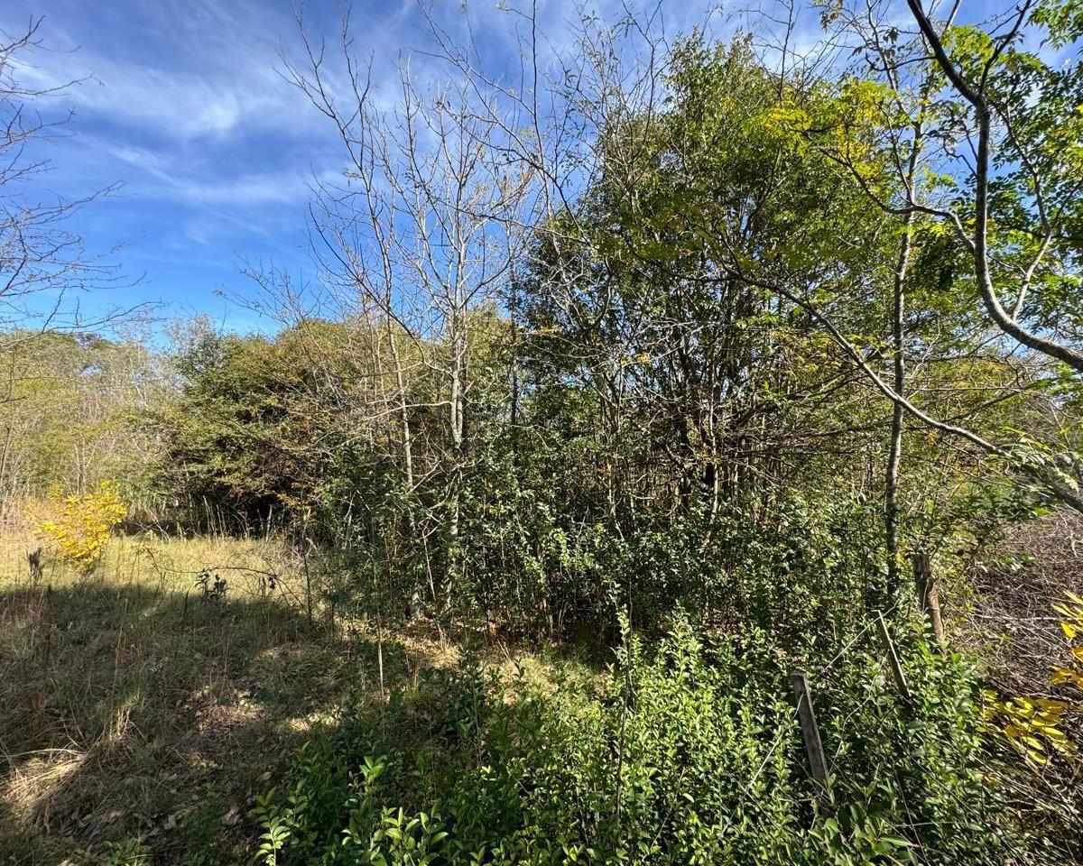 Venta de Lote en Villa Ciudad Parque - Tlc0860 2
