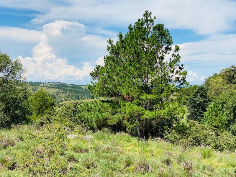 Venta de Fraccion de 2 Has 6757 m² en Villa Berna - Tlc0853 3