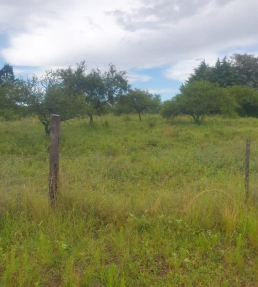 Venta de Terreno en Potrero de Garay Ref: Tlc0831 3