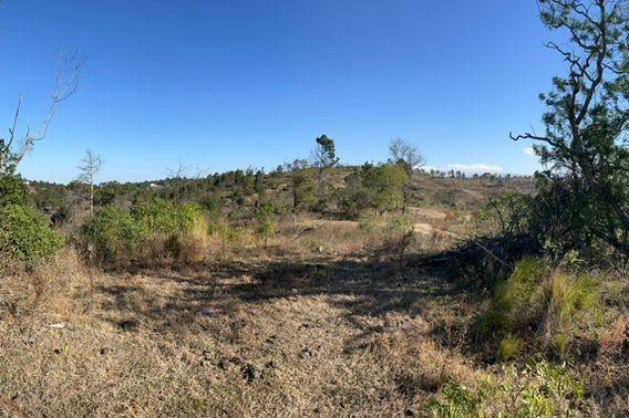 Foto de VENTA DE LOTE EN POTRERO DE GARAY - TLC0910, imagen 4