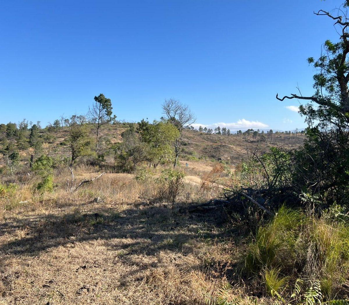 Foto de VENTA DE LOTE EN POTRERO DE GARAY - TLC0910, imagen 5