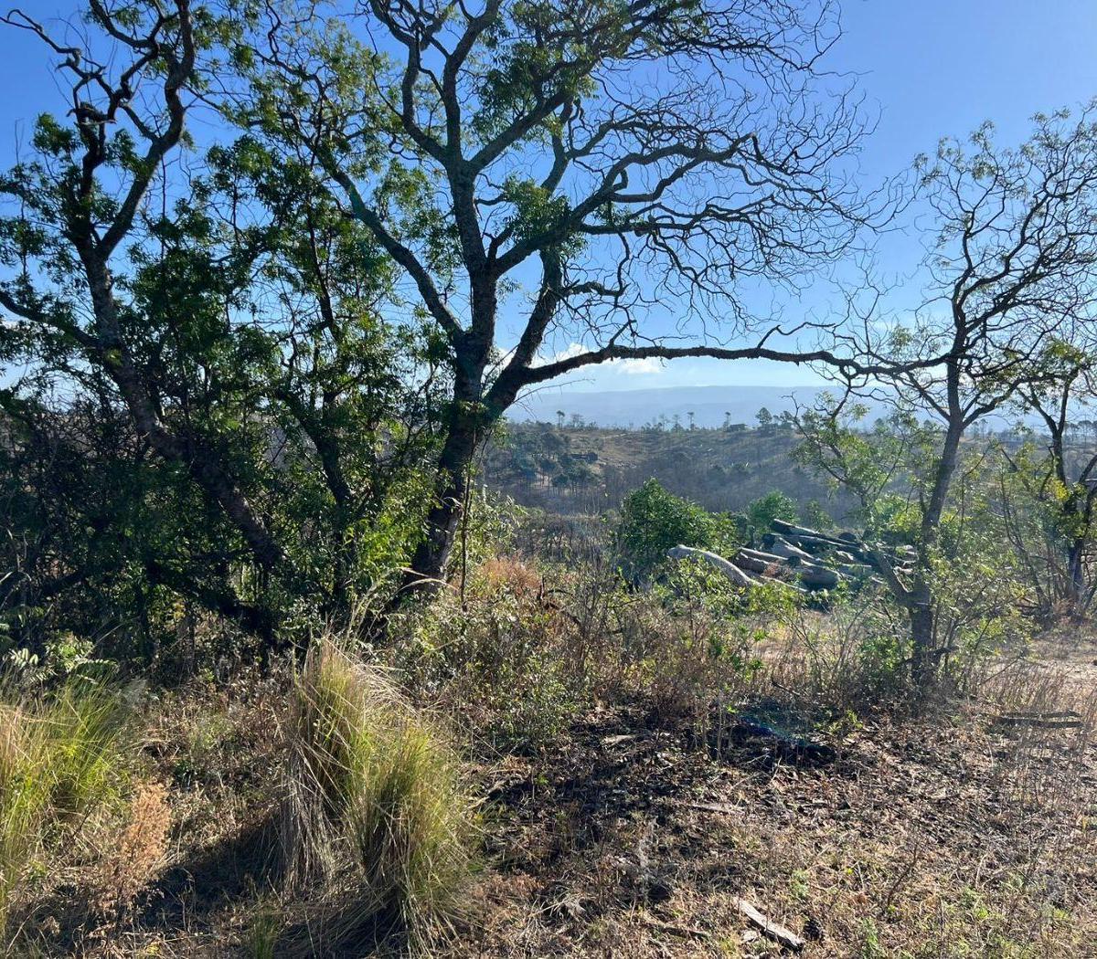 Foto de VENTA DE LOTE EN POTRERO DE GARAY - TLC0910, imagen 3