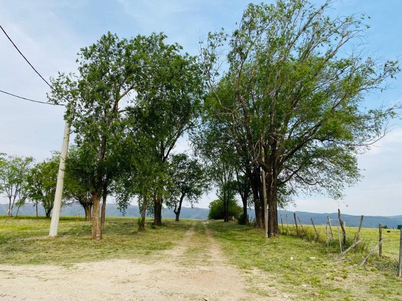 Venta de Terreno en Los Reartes - Tlc0642 3